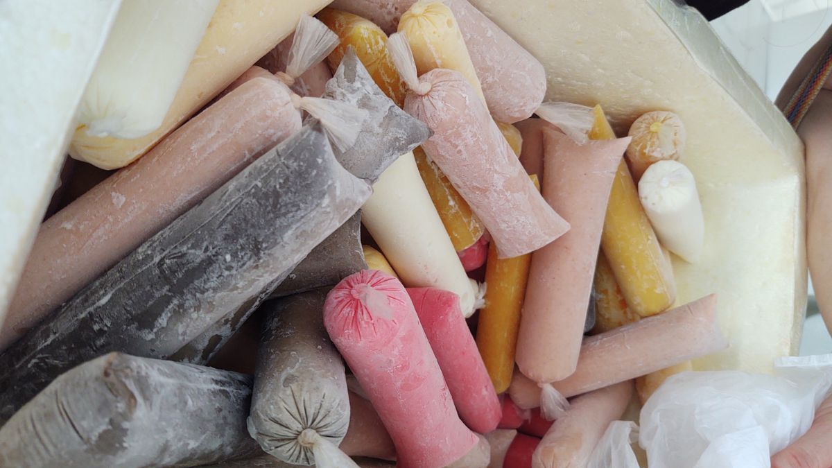 embalagem para geladinho gourmet
